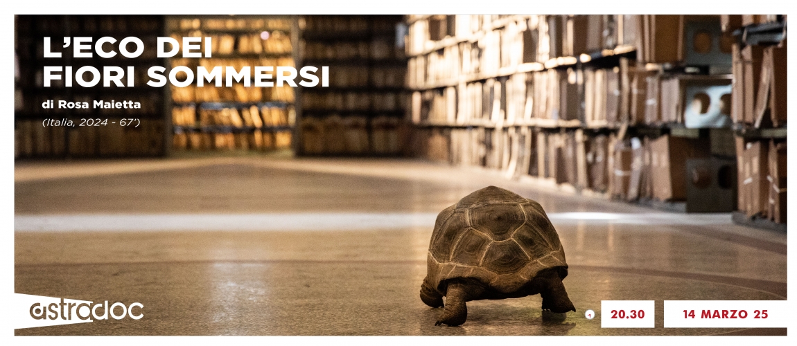 L'eco dei fiori sommersi ad Astradoc