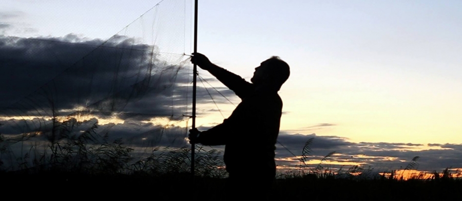 I lungometraggi FILMaP ai Festival internazionali
