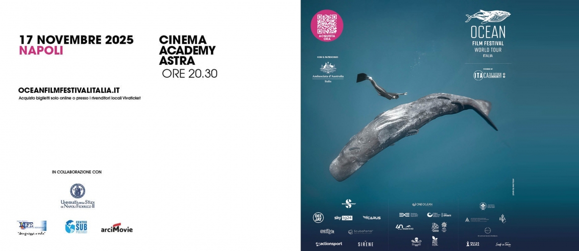 Ocean Film Festival World Tour