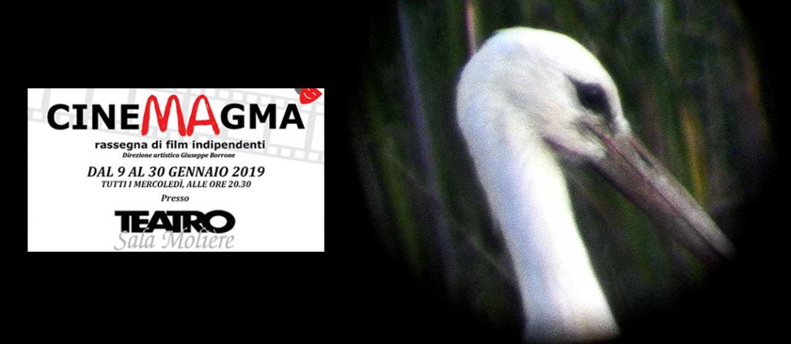 VOLTURNO di Ylenia Azzurretti a Cinemagma